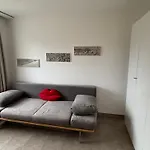Haubentaucher Mit Meerblick