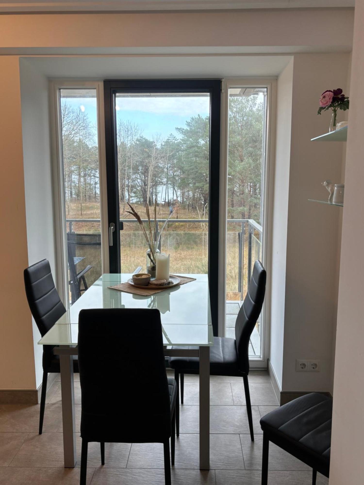 Haubentaucher Mit Meerblick Apartment